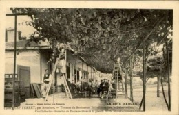 FRANCE - Carte Postale - Cap Ferret - Terrasse Du Restaurant Belisaire - Cueillette Du Raisin Sur La Treille - L 67391 - Alberghi & Ristoranti