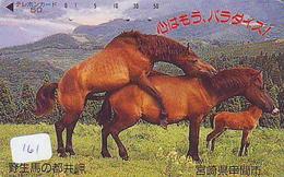 CHEVAL PFERD REITEN Horse Paard Caballo (161) CHEVAL étalon Reproduction HORSE MATING - Chevaux
