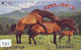 Télécarte Japon Animaux - CHEVAL érotique étalon - Erotic HORSE Japan Phonecard - Erotik PFERD Telefonkarte  (365) - Caballos
