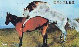 Télécarte Japon Animaux - CHEVAL érotique étalon (568) Erotic HORSE Japan Phonecard - Erotik PFERD Telefonkarte - Chevaux