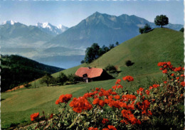 Heiligenschwendi Ob Thun, 1100 M - Ausblick Auf Thunersee (8211) - Heiligenschwendi