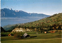 Tschingel Bei Sigriswil (Thunersee) (8290) * 15. 3. 1980 - Sigriswil