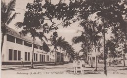 DAHOMEY COTONOU AVENUE DU GENERAL DODDS - Dahomey