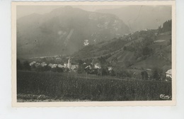 DINGY SAINT CLAIR - Vue Générale - Le Mont Baron - Dingy-Saint-Clair