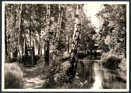 D8717 - Lübbenau Weg Nach Wotschofska - Heimatbild Berlin Friedrichshagen - Luebbenau