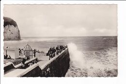 Delcampe - YPORT - Effet De Vagues Sur La Jetée (animée) - Yport