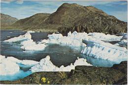 Glacier Ice Store Gletcher - Groenlandia