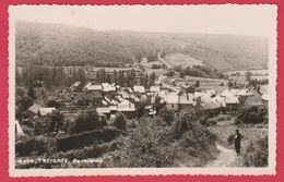 Treignes - Joli ... Panorama De La Localité / MOSA - 1954 ( Voir Verso ) - Viroinval