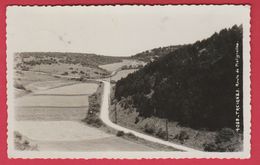 Treignes - Route De Matignolles - 1946  ( Voir Verso ) - Viroinval