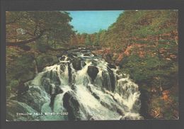 Betws-y-Coed - Swallow Falls - Caernarvonshire