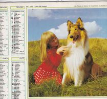 Almanach Du Facteur, Calendrier De La Poste, 1986 Côte D'Or, Enfants Et Animaux - Grand Format : 1981-90