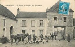 CHARMOY LA FERME DU CHATEAU DES CHARMEAUX GALINACES ET CHEVAUX - Charmoy