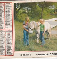 Almanach Du Facteur, Calendrier De La Poste, 1983 Côte D'Or, Faon, Poney Blanc - Grand Format : 1981-90