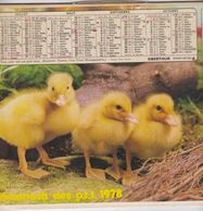 Almanach Du Facteur, Calendrier De La Poste, 1978, Côte D'Or, Chevaux , Petits Canards - Grand Format : 1971-80