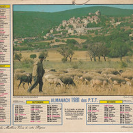 Almanach Du Facteur, Calendrier De La Poste, 1981, Côte D'Or, Moutons En Haute-Provence, Deux Chiens ... - Grand Format : 1981-90