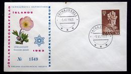 Iceland 1963 Glaciological Society Expedition Cover   Minr.340  ( Lot 121 ) - Storia Postale
