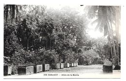 CONAKRY - ALLEE DE LA MAIRIE - SUPERBE - Guinée