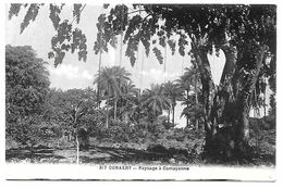 CONAKRY - PAYSAGE A CAMAYENNE ( Bistre ) - SUPERBE - Guinée
