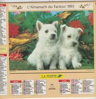 Almanach Du Facteur, Calendrier De La Poste,1993, COTE D'OR, Chiots Terriers, Chatons - Grand Format : 1991-00