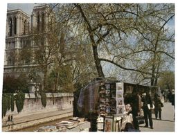 (J 9) Paris Cathedrale Notre Dame - Bouquiniste - Quai De La Seine - Marchands