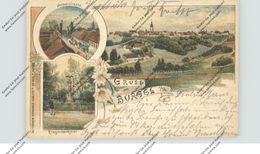 0-6522 BÜRGEL, Lithographie 1899, Jenaerstrasse, Kriegerdenkmal, Gesamtansicht - Eisenberg