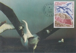 Carte  Maximum   1er  Jour    TAAF   Albatros  Argos    1991 - Marine Web-footed Birds