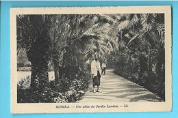 ALGERIE----BISKRA---une Allée Du Jardin Landon--voir 2 Scans - Biskra