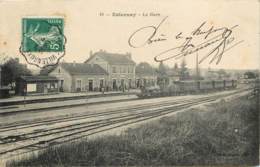 ESTERNAY LA GARE INTERIEUR ARRIVEE DU TRAIN - Esternay