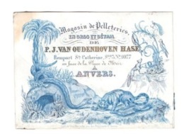 1 Carte Porcelaine Magasin De Pelleteries P.J.Van Oudenhoven Hase Rempart St.Catherine à Place De Meir ANVERS  12x8 - Cartes Porcelaine