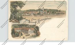 0-6800 SCHMÖLLN - HUMMELSHAIN, Lithographie, Gasthaus Zum Hirsch, Gesamtansicht - Schmölln