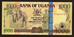 1000 Shillings  "OUGANDA "     UNC     Ble 65 - Ouganda