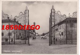 PESSANO - VIA PIAVE F/GRANDE  VIAGGIATA 1955? ANIMATA - Sesto San Giovanni