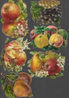 6 Découpis FRUITS Poires Pommes Pêches Décollés D'un Album  9 X 12 CM 110 - Fleurs