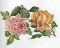 2 Découpis Plaque ROSES JAUNE ROSE PALE  Dos Vierge 18 X 11 CM 101 - Fleurs