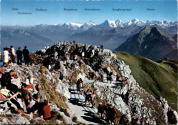 Auf Dem Stockhorn, Ob Erlenbach I. S. (398) - Erlenbach Im Simmental