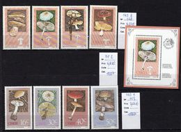 1 Feuillet Et 8 Valeurs Neufs** De Ciskei Champignon, Mushroom - Champignons