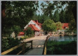 Horn Bad Meinberg Leopoldstal - Waldhotel Silbermühle - Bad Meinberg