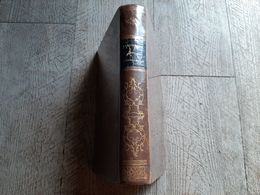 Dictionnaire De La Gendarmerie Cochet De Savigny Et Perrève 1873 - Wörterbücher