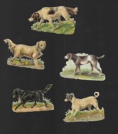 5 Découpis CHIENS DE CHASSE ARRET  Décollé D'un Album 5  X 4 Cm 144 - Animals