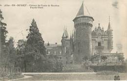 BUSSET - Château Du Comte De Bourbon - 339 - Autres & Non Classés