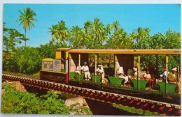 C. P. A. : FIDJI, FIJI : Free Train, From Ba Through Lautoka To Kavanagasau, Sigotoka - Fidji