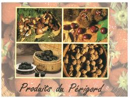 (J 18) France - Black Truffles - Truffes Noire - Chestnut Ect (Périgord) - Mushrooms