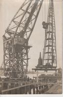 76 - LE GRAND QUEVILLY - Grues En Bords De Seine (carte Photo) - Le Grand-Quevilly