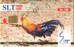 Sri Lanka (Ceylon) - LK-SLT-CHP-0001B, SLT, Rs.100, Jungle Fowl W/O Text, Bird, Used - Sri Lanka (Ceylon)