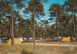 BISCAROSSE. - Le Camping De La Plage. CPM - Biscarrosse