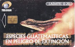 TARJETA DE GUATEMALA DE UNA LAGARTIJA (LADATEL) LIZARD - Guatemala