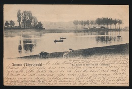 SOUVENIR D' LIEGE  HERSTAL  LA MEUSE EN FACE DU TIR COMMUNAL - Herstal