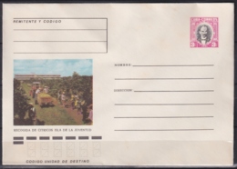 1981-EP-142 CUBA 1981 3c POSTAL STATIONERY COVER. ISLA DE PINOS, RECOGIDA DE CITRICOS. - Covers & Documents