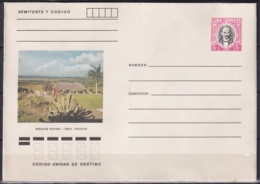 1982-EP-211 CUBA 1982 5c POSTAL STATIONERY COVER. HOLGUIN, MIRADOR DE MAYABE. - Lettres & Documents