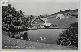 Gasthaus & Bad Zur Traube Hemberg Mit Teich - Hemberg